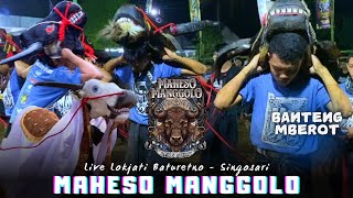 Banteng Ngamok!!,, MAHESO MANGGOLO Terbaru Live Lokjati Baturetno - Singosari