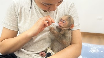 OMG!.. Wat is er met Lala gebeurd waardoor mama zich zorgen maakt?