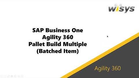 Build Multiple Pallets for Batched Item in SAP Business One using WiSys Agility 360