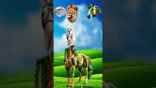 #viralvideo #cartoon #trending #animals #cow #funnyvideo #animalcharacters #puzzle #cartoonanimals