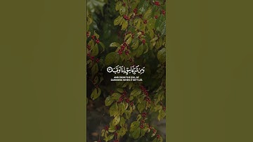 سورة الفلق بصوت يهز القلوب | تلاوة تقشعر لها الأبدان🤲♥️