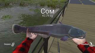 ultimate fishing simulator (android) классное место для ловли крупной рыбы screenshot 1