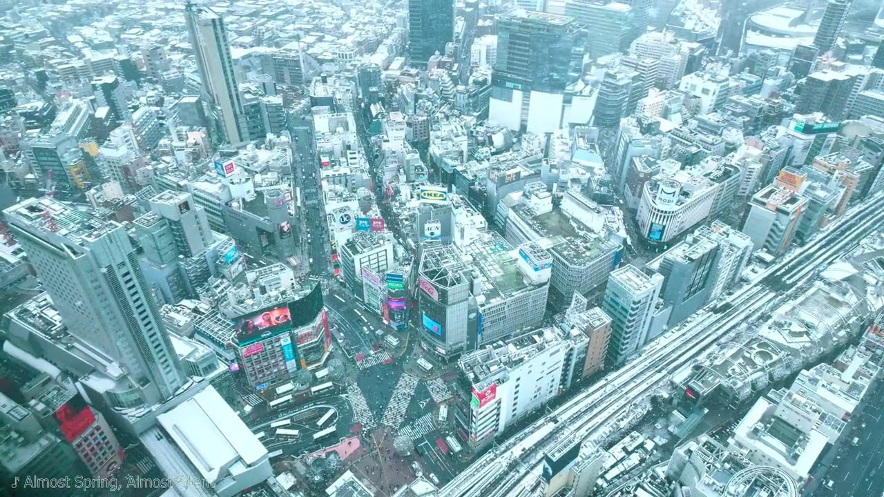 ネオ・シティ・ポップ 22 Japanese Neo CITY POP Collection Vol.22