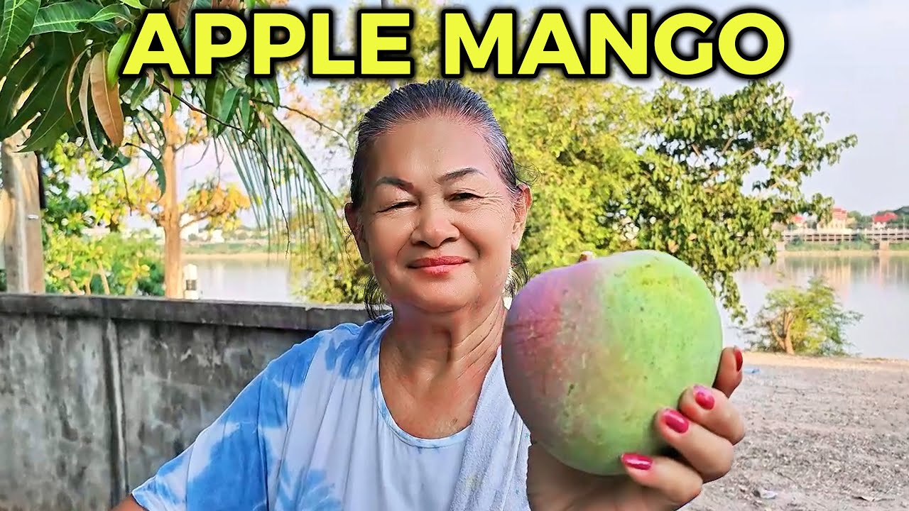 Apple Mango from Laos (Very Rare) - YouTube