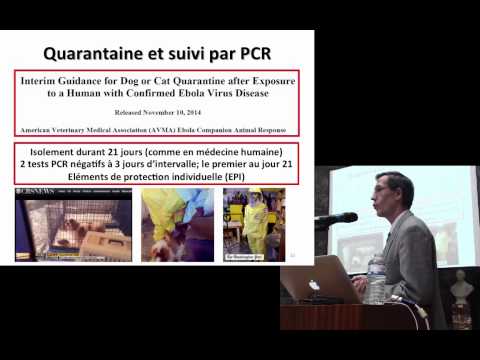 Claude Saegerman: Rôle potentiel des animaux domestiques dans la transmission du virus Ebola Claude Saegerman: Rôle potentiel des animaux domestiques dans la transmission du virus Ebola