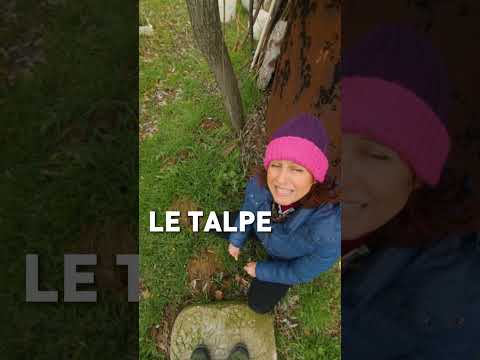 Video: Cos'è il terreno talpa?