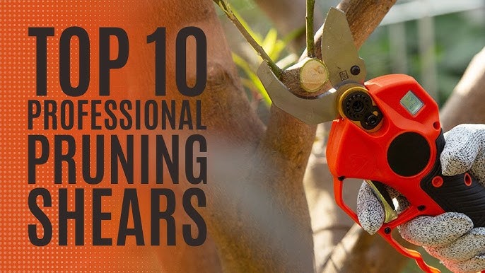 The best pruning shears of 2023