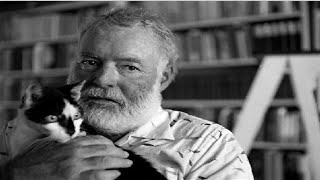 قطة تحت المطر | ارنست همنغواي Cat In The Rain (Ernest Hemingway)