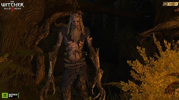 The Witcher 3 Wild Hunt Next Gen RTX 5090 Realistic Graphics Gameplay PART 57 Feet as Cold as Ice 4K