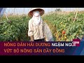 Covid-19 hoành hành Hải Dương: Thương lái ngán ngẩm, nông dân xót xa | VTC Now