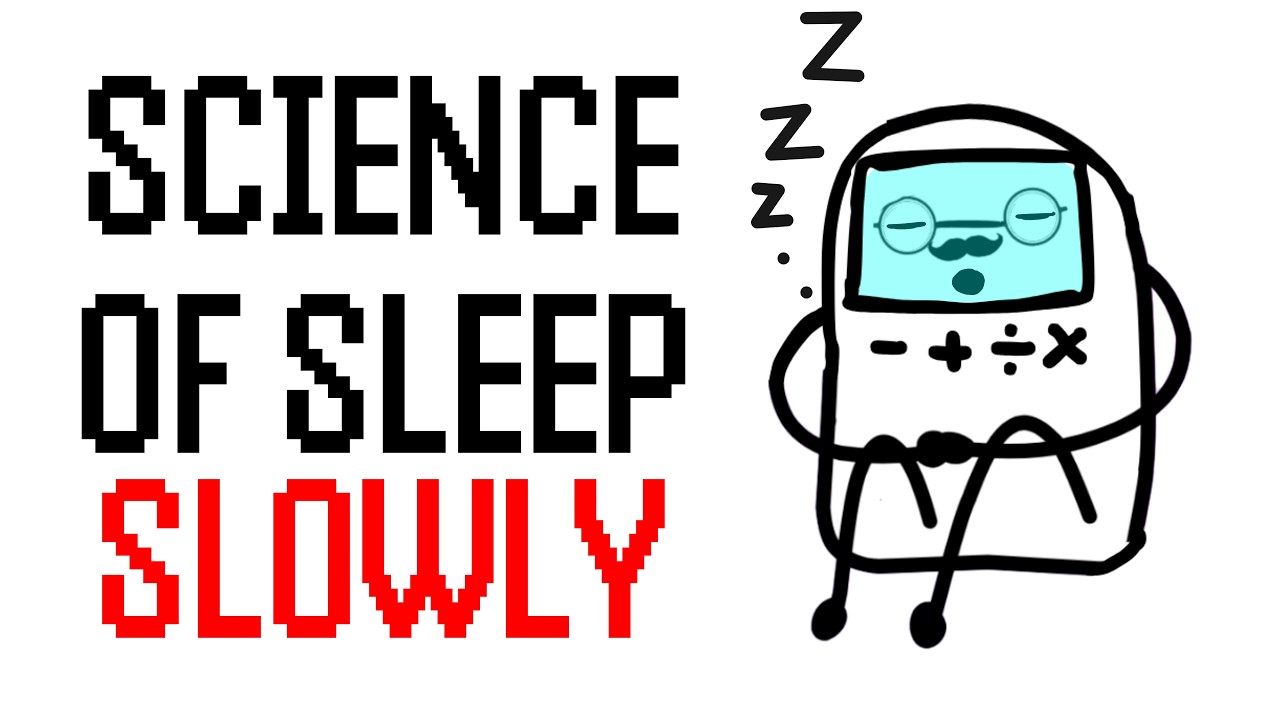 Explaining Everything About Sleep To Help You Sleep :)
