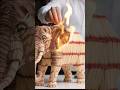 tiger and elephant firing from match sticks #usashorts #unitedstates #shortvideo