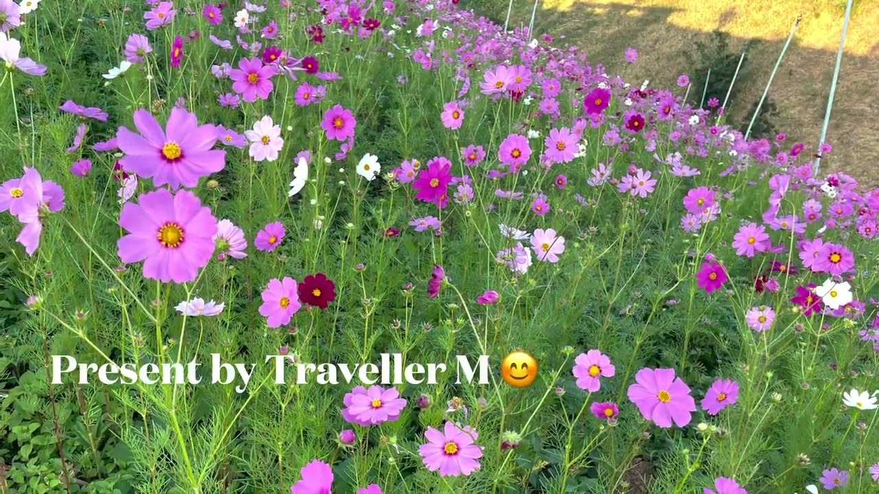 Sea of Clouds,Mae Sot, Thailand  