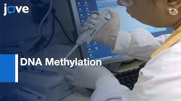 DNA Methylation Analysis by MBD Capture-based Method | Protocol Preview