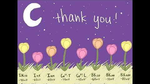Voltage Clamp Simulation Animation