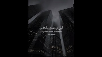 قراءة القرآن الكريم انشر المقطع اجر لي ولكم ان شاء #القرآن_الكريم #المصحف #quran #اكسبلور