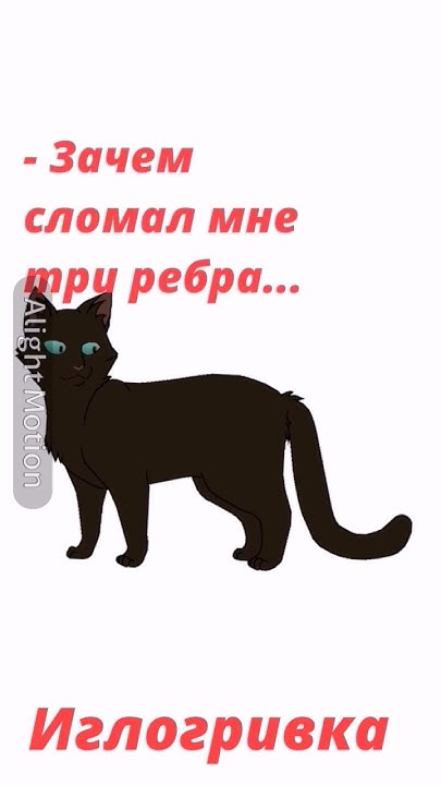 Смерти коты-воителей #алайтмоушен #art #кв #котывоители - YouTube