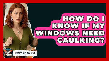 How Do I Know If My Windows Need Caulking? - Insects and Invaders