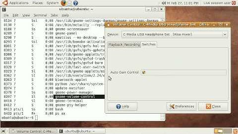 gnome-volume-control in Ubuntu works