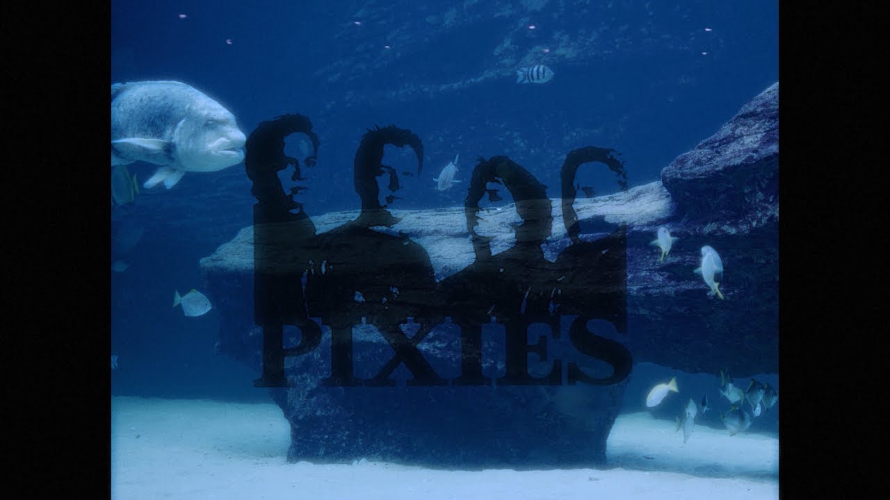 WAVE OF MUTILATION (UK SURF) - PIXIES  ( s l o w  +  e c h o )