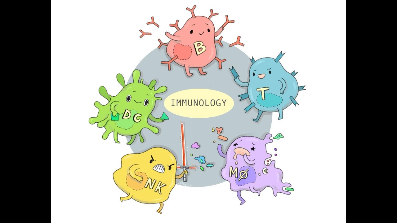 Sinh 11. Miễn dịch ở động vật (P2)