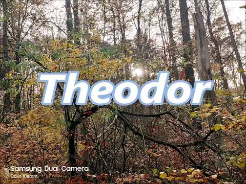 Wideo: Skąd wzięła się nazwa Theodore?