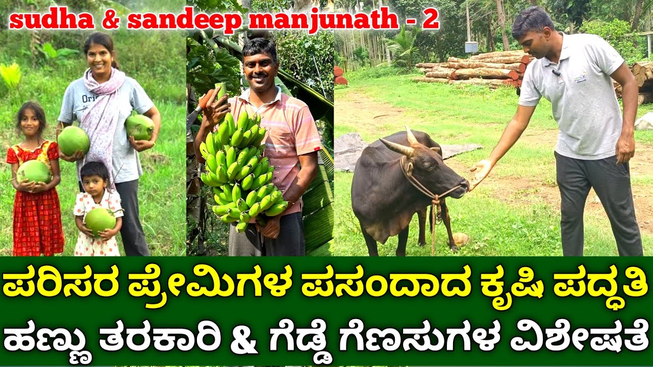 ಪರಿಸರ ಪ್ರೇಮಿಗಳ ಪಸಂದಾದ ಕೃಷಿ ಪದ್ಧತಿ | root and tuber crops | organic fruits & vegetables farming