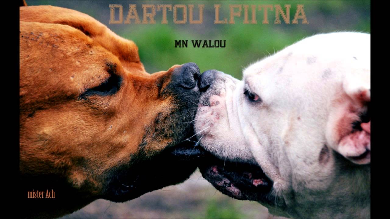 Mister Ach   ''ALFITNA"