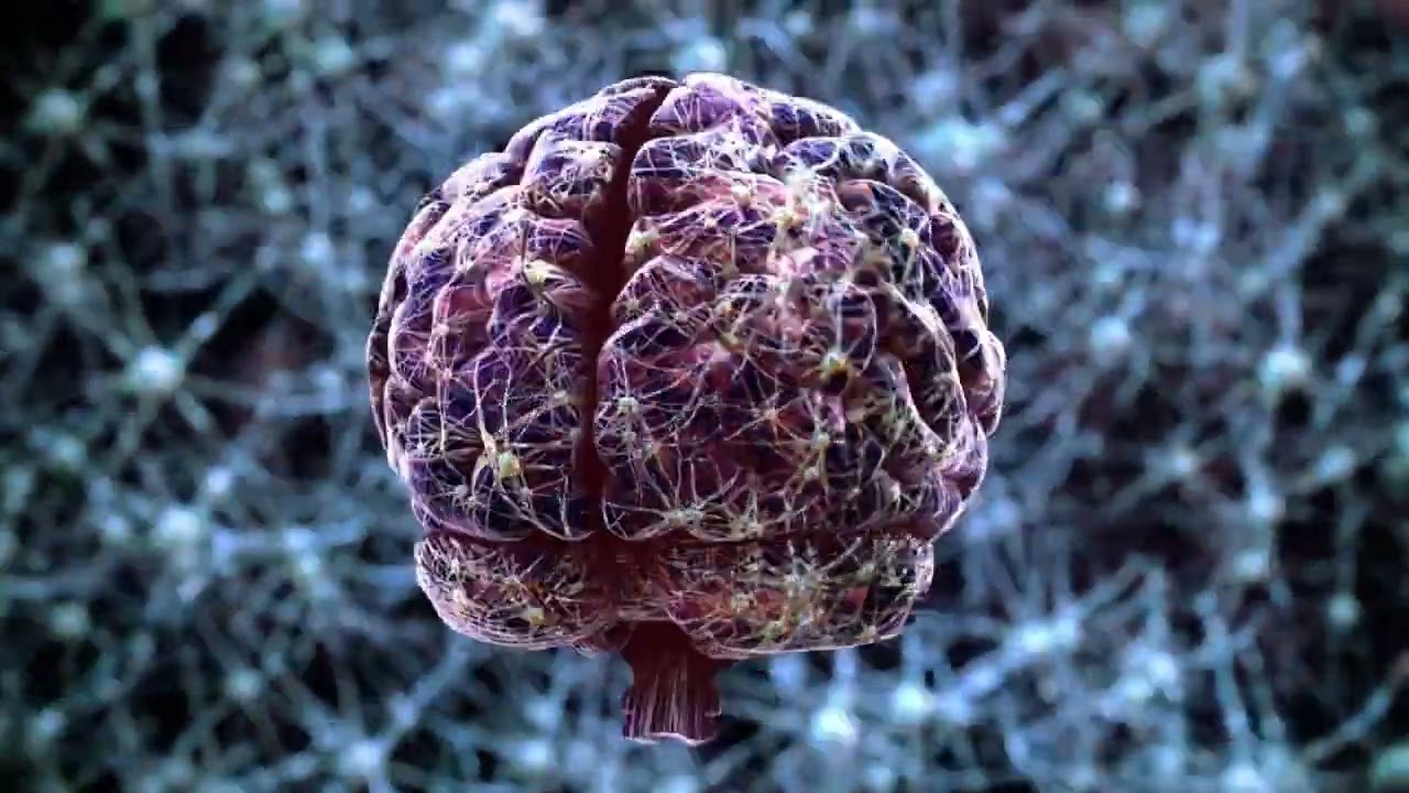 Aquapeace: A Breakthrough Solution For Tinnitus Relief