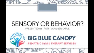 Is it Sensory Processing Disorder or a Behavior Issue