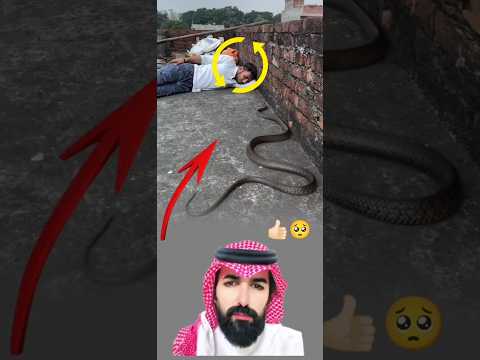 لن يصيبك اي مكروه الا بامرا من الله فطمئن عبارات اقتباسات حالات حزين شورت