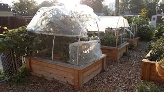 DIY Hail Protection - Multifunctional - Ecological Living - Permaculture