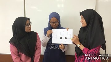 Dynamics Video Assignment