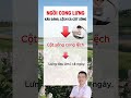Dân văn phòng chú ý: Ngồi cong lưng không chỉ xấu dáng còn làm biến dạng cột sống!