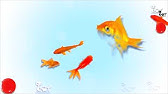 Jeu Pour Chat Les Poissons Youtube