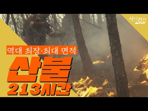 [사사건건 플러스] 동해안 최대 산불…이제 산림에 제대로 투자할 때_220314 KBS방송