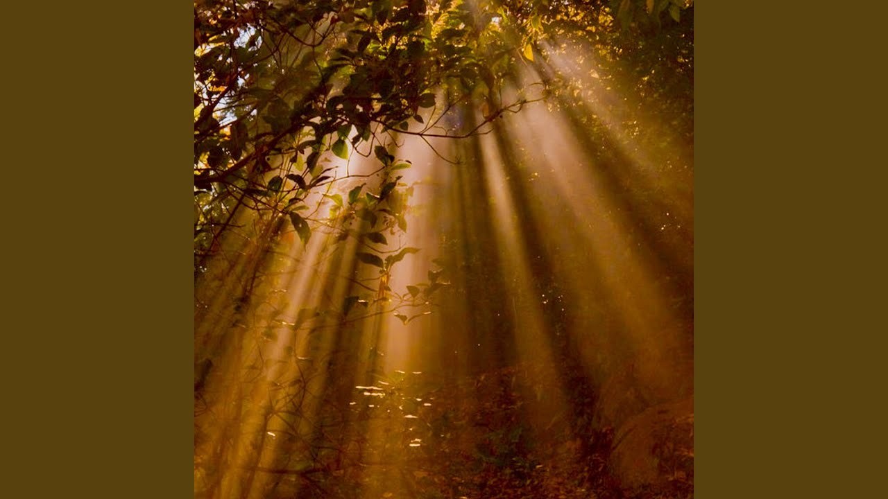 Watch Delicate (Ocean) on YouTube Watch Delicate (Ocean) on YouTube