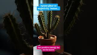 Positive energy:Homely Tips#mindset#self growth #postivevibes #shorts