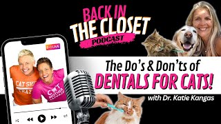 The Do's and Don'ts of Dentals for Cats with Dr. Katie Kangas | Back In The Closet