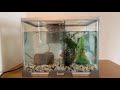 金魚おたまミックス5匹水槽づくり②