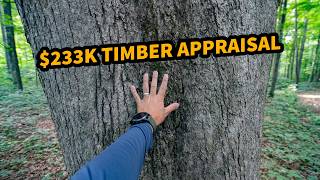 61-Acre Land Auction featuring $233K Timber Appraisal