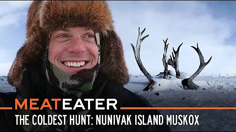 The Coldest Hunt: Nunivak Island Muskox | S5E11 | ...