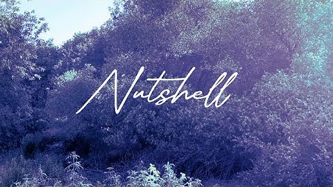 Nutshell - Alice In Chains (Music Video)