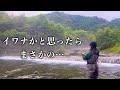 【本流&支流】霧に包まれた渓流で、釣れたのは…