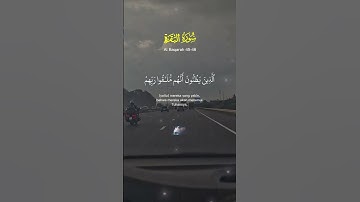 #سورة_البقرة #إسلاميات #ذكر#دعاء #قرآن_كريم#راحة_نفسية#خشوع#اكسبلور#القزابري #نور#تلاوة #ترند