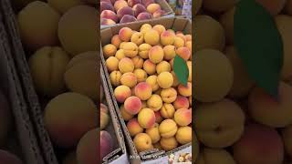 today fruit mandi Sopore update top quality apple's bomai zaingair cherry 🍒 peach 🍑#apple #fruit