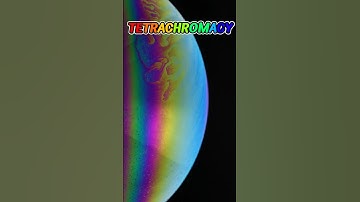 You Might Have a Superhuman Ability… And Not Even Know It! 👀 | #shorts #mindblown #Tetrachromacy