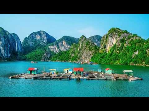 Города на сваях и на островах. (Венеция, кто ты? Часть 4.)