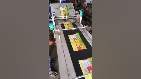 Stacker conveyor system ( 9836989058)