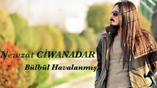 Newzat Ciwanadar Bülbül Havalanmış